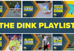 Improve Your Dink Shot With These 6 Great Videos!